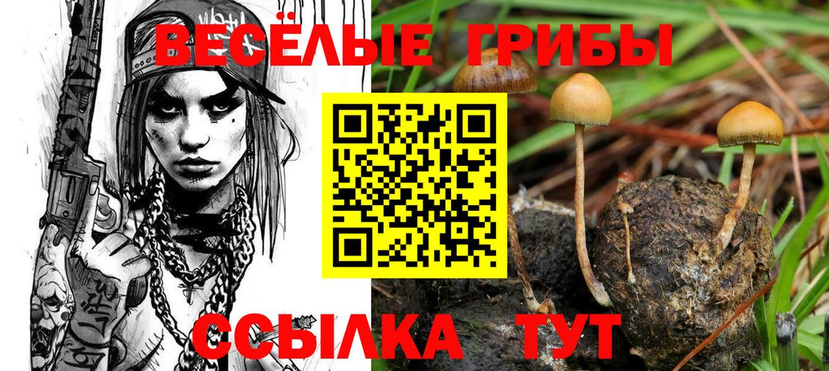 Псилоцибиновые грибы ЛСД Кировск