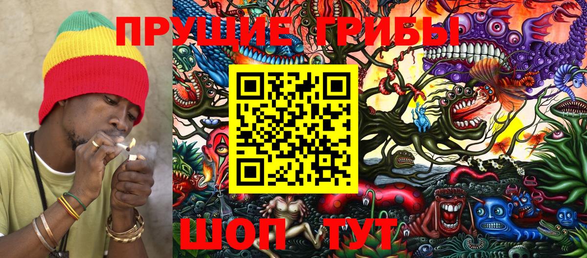 что такое   Вход с VPN  Кировск  Псилоцибиновые грибы MAGIC MUSHROOMS 